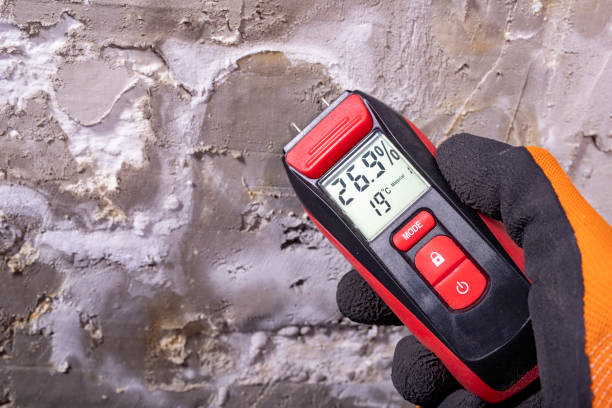 Best Mold Removal Near Me  in Red Lake Falls, MN
